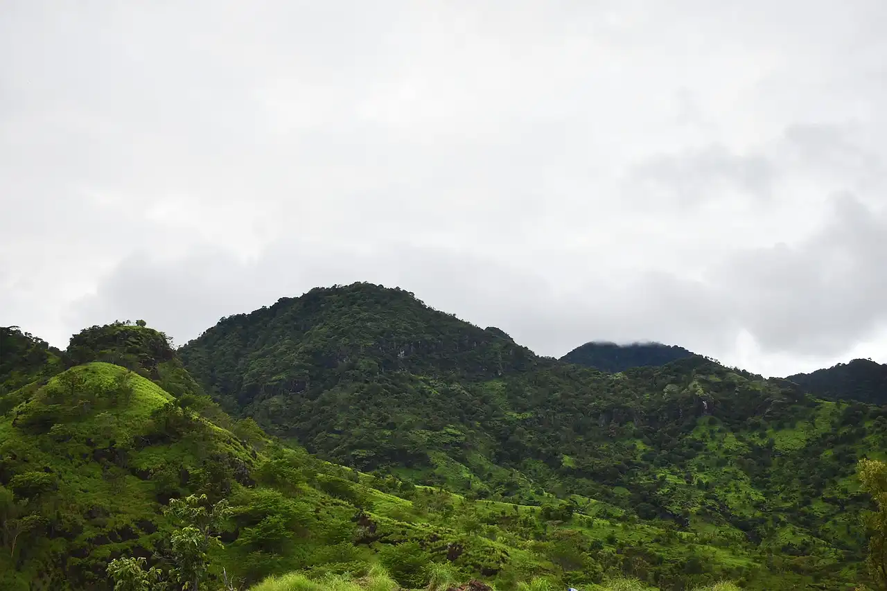 Pemetaan tutupan lahan dan klasifikasi land use